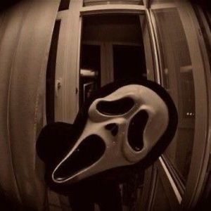 Meet your Posher, Leila